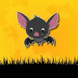 Cute Bat Memory